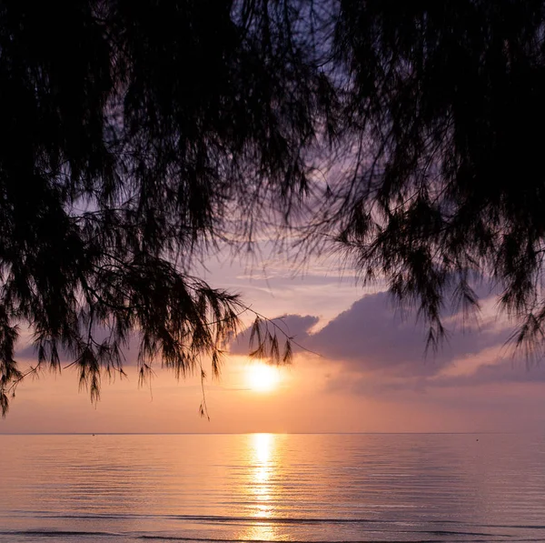 Tropische zonsondergang op het strand — Stockfoto