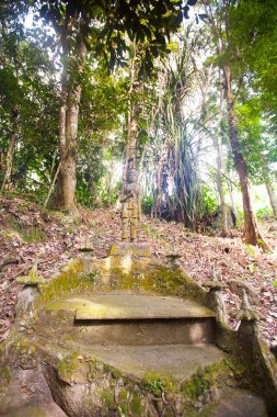Tanım sihirli Buda Bahçe, Koh Samui Adası