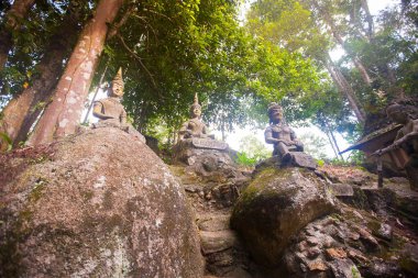 Tanım sihirli Buda Bahçe, Koh Samui Adası