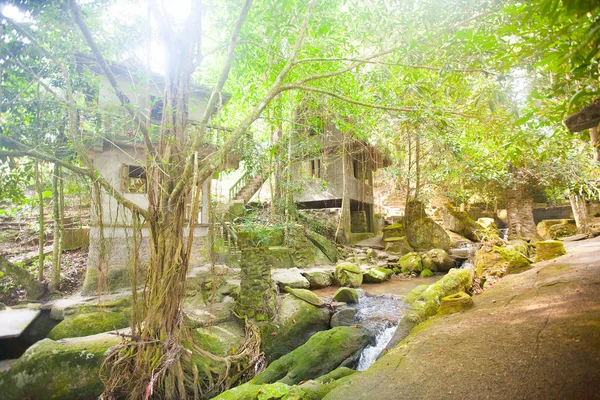 Tanım sihirli Buda Bahçe, Koh Samui Adası — Stok fotoğraf