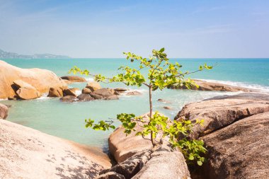 Tropikal deniz manzara görünümü