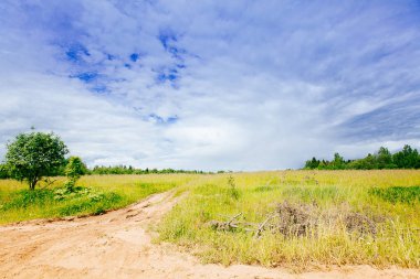 Bahar Yaz arka plan - yeşil çim alan meado içinde kırsal yol