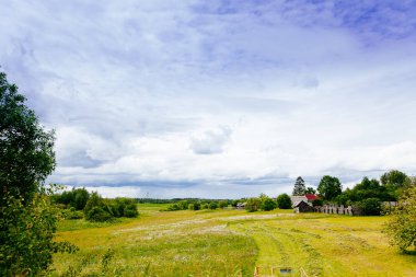 Bahar Yaz arka plan - yeşil çim alan meado içinde kırsal yol