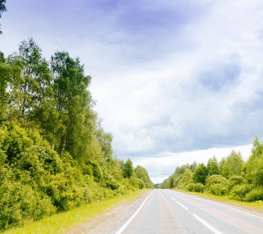 Bahar Yaz arka plan yol yeşil orman sahne peyzaj içinde 