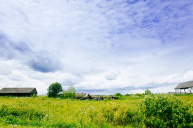 Bahar Yaz arka plan - yeşil çim alan meado içinde kırsal yol