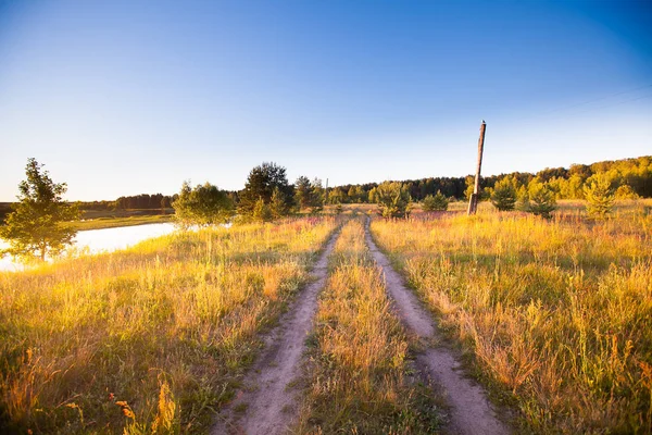 Primavera verano fondo - camino rural en campo de hierba verde meado —  Fotos de Stock