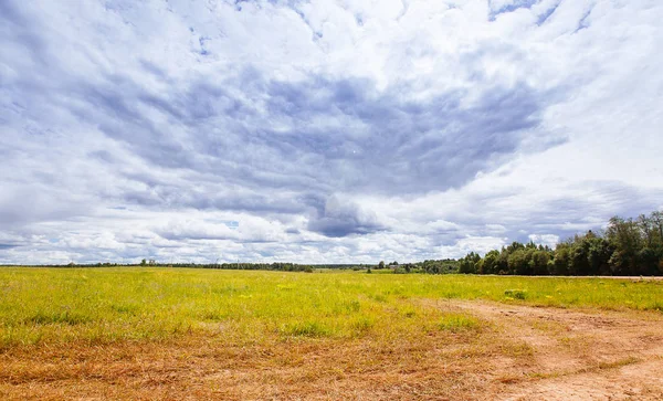 Primavera verano fondo - camino rural en campo de hierba verde meado — Foto de Stock