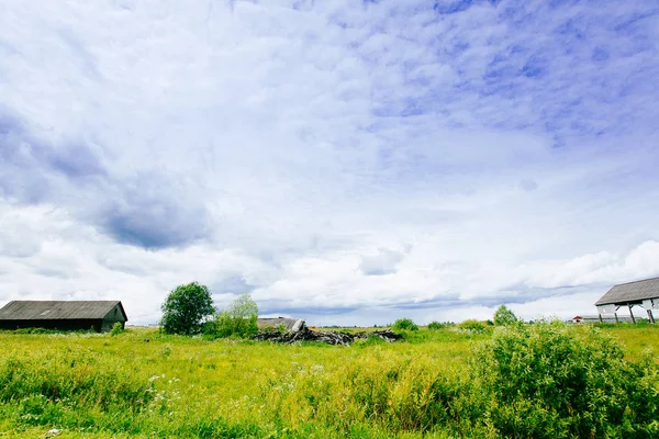 Bahar Yaz arka plan - yeşil çim alan meado içinde kırsal yol — Stok fotoğraf