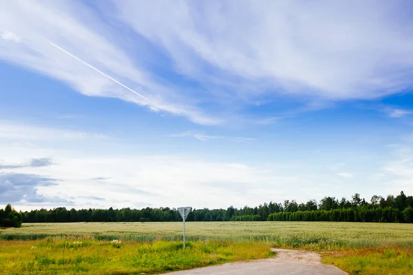 春天夏天背景-农村公路在绿草领域居民区 — 图库照片