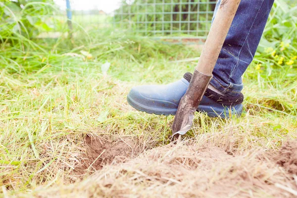 Closeup photo of man digging soil at garden — Stock Photo, Image