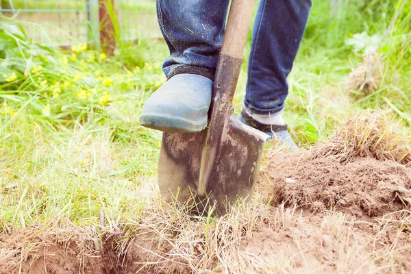 Zbliżenie zdjęcie człowieka kopanie gleby w ogrodzie — Zdjęcie stockowe