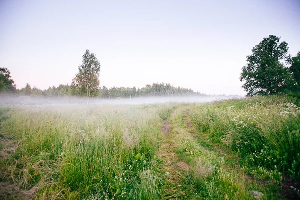 Mooie dikke mist zonsopkomst herfst herfst landschap over velden wi — Stockfoto