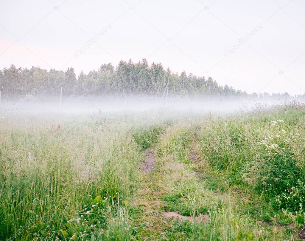 Beautiful thick fog sunrise Autumn Fall landscape over fields wi