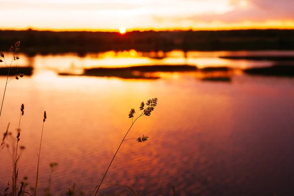 Tramonto sul fiume — Foto Stock