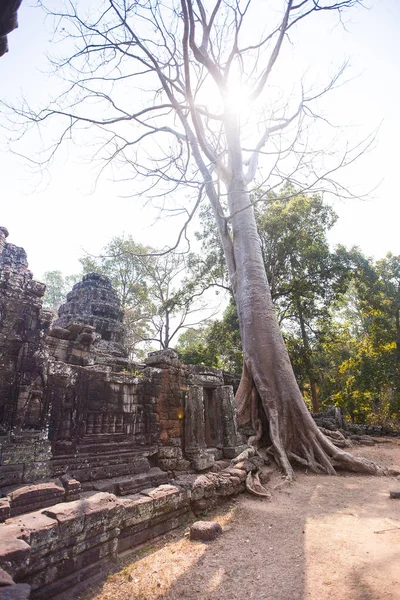 Banteay kdei, Siem reap, Kambodzsa — Stock Fotó