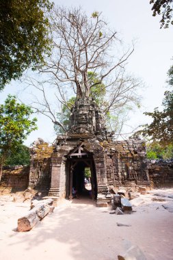 ta som Tapınağı, angkor alan, siem reap, Kamboçya 