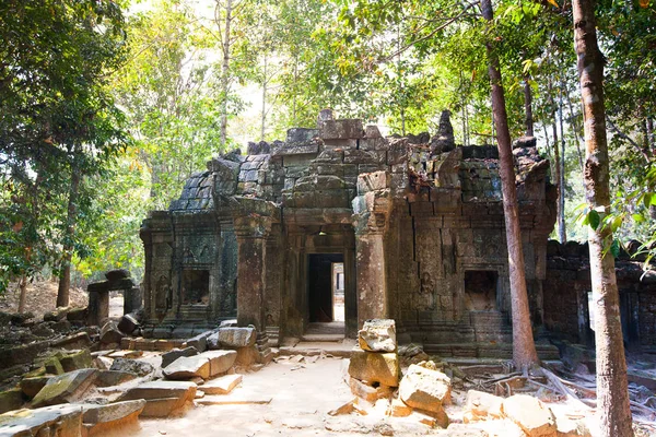 Ta som chrám, oblast angkor, siem reap, Kambodža — Stock fotografie