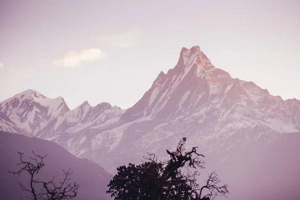 Annapurna area mountains in the Himalayas of Nepal — Stock Photo, Image