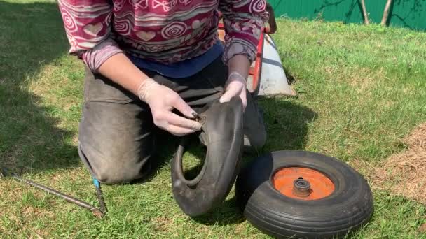 Passaggio Nuovo Pneumatico Carriola Prato Erboso Verde Giardino Agricolo — Video Stock