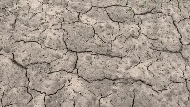 Very Drought Dry Field Soil Cracked Climate Change Environmental Disaster — Stock Video