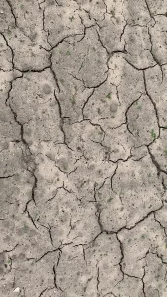 Sehr Trockene Trockene Felder Rissiger Boden Klimawandel Umweltkatastrophe Und Erdrisse — Stockvideo