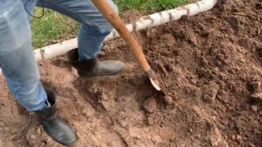 Çiftçi kauçuk çizmeler kazma ve kürek kullanarak toprak çevirme ve bir weed çekerek. Tarım, toprak işleme konsepti