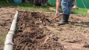 Çiftçi kauçuk çizmeler kazma ve kürek kullanarak toprak çevirme ve bir weed çekerek. Tarım, toprak işleme konsepti