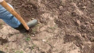 Çiftçi kauçuk çizmeler kazma ve kürek kullanarak toprak çevirme ve bir weed çekerek. Tarım, toprak işleme konsepti