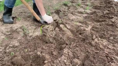 Çiftçi kauçuk çizmeler kazma ve kürek kullanarak toprak çevirme ve bir weed çekerek. Tarım, toprak işleme konsepti