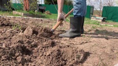 Çiftçi kauçuk çizmeler kazma ve kürek kullanarak toprak çevirme ve bir weed çekerek. Tarım, toprak işleme konsepti