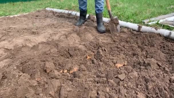 农民在橡胶靴挖和翻转土壤使用铲子和拉杂草 耕作概念 — 图库视频影像