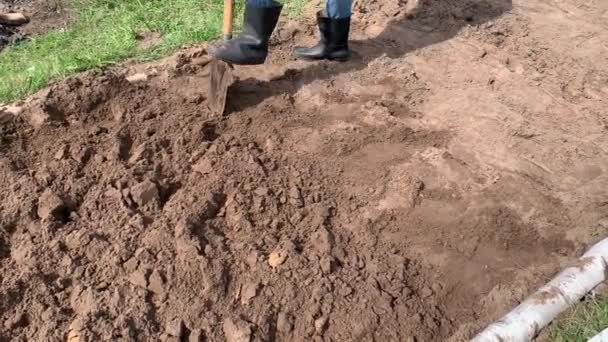 Agricultor Botas Goma Excavando Volteando Tierra Usando Pala Tirando Una — Vídeos de Stock