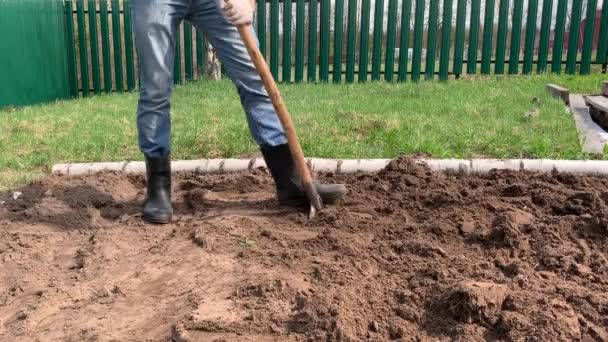 农民在橡胶靴挖和翻转土壤使用铲子和拉杂草 耕作概念 — 图库视频影像