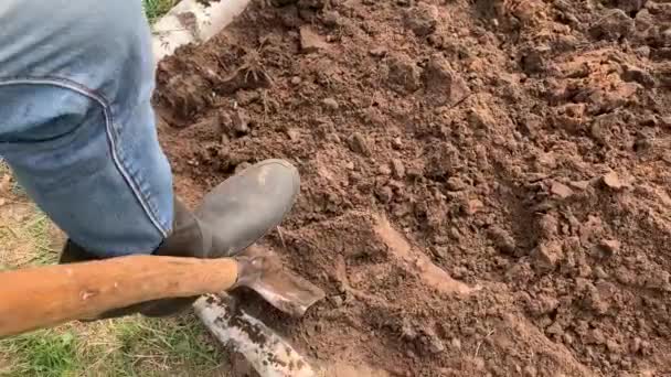 Boer Rubber Laarzen Graven Flipping Grond Met Schep Het Trekken — Stockvideo