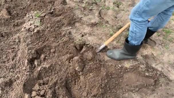 Αγρότης Μπότες Από Καουτσούκ Σκάψιμο Και Αναστροφή Του Εδάφους Χρησιμοποιώντας — Αρχείο Βίντεο