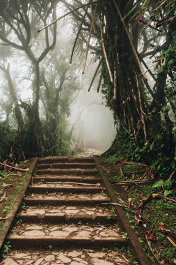 Tropikal ormandan geçen yol, Lempuyang Dağı, P yolu