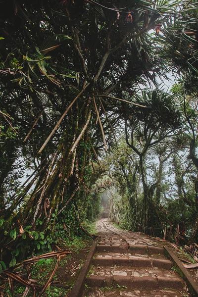 Väg genom den tropiska skogen, Mount Lempuyang, väg till P — Stockfoto