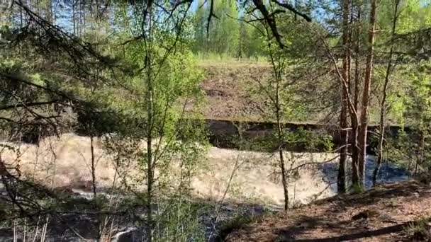 Girvas Vulkan Wurde Wasserfall Bei Hochwasser Karelien Russland — Stockvideo