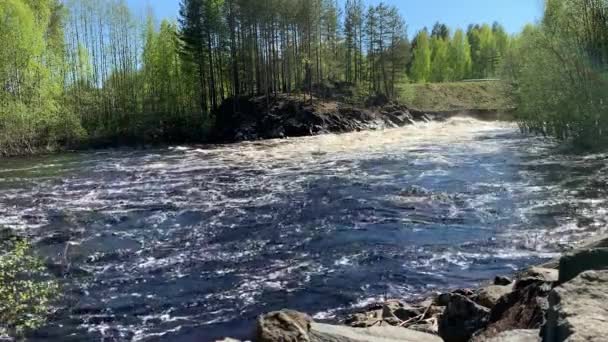 Girvas Vulkán Vízesés Lett Magas Víz Idő Karelia Oroszország — Stock videók