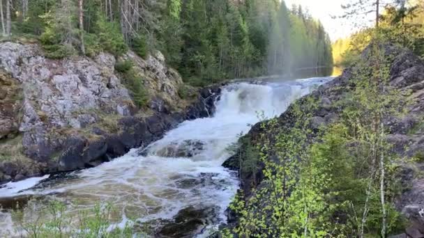 Kivach Waterfall Karelia Northern Russia — Stock Video