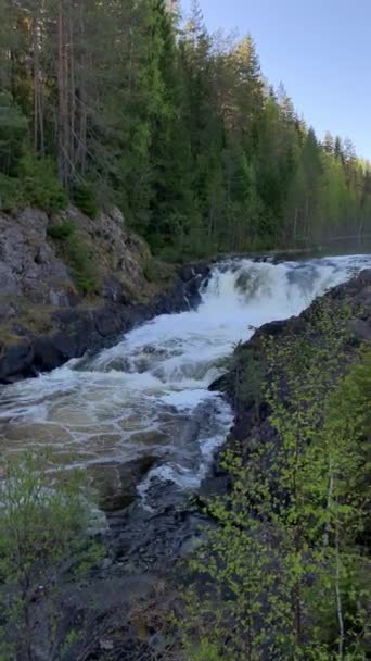 Cascada Kivach Karelia Norte Rusia — Vídeo de stock