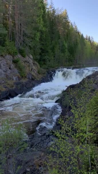 Cachoeira Kivach Carélia Norte Rússia — Vídeo de Stock