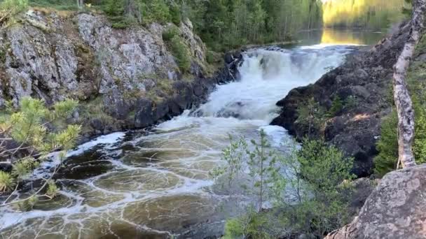 Cascada Kivach Karelia Norte Rusia — Vídeo de stock