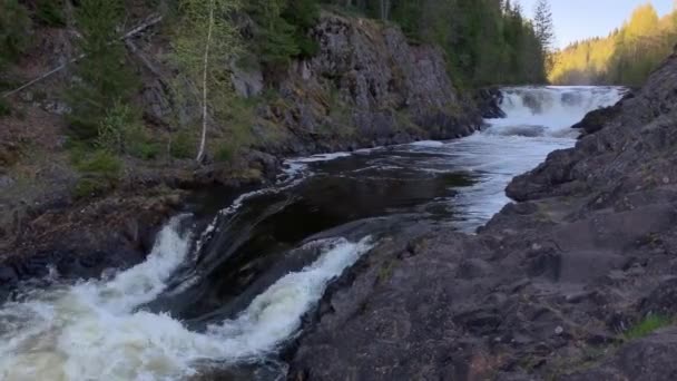 Kivach Vízesés Karelia Oroszország Északi — Stock videók