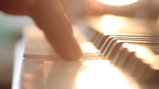 窓の近くで電気ピアノを弾いている男の手 屋内の窓から快適な日差しの光 — ストック動画