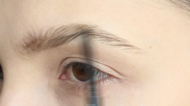 Junge Schöne Frau Die Augenbrauenstift Großaufnahme Anwendet Schönheit Make Konzept — Stockvideo