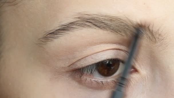 Junge Schöne Frau Die Augenbrauenstift Großaufnahme Anwendet Schönheit Make Konzept — Stockvideo