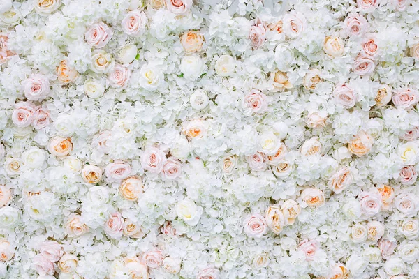 Fleurs fond mural avec des roses blanches et orange clair . — Photo