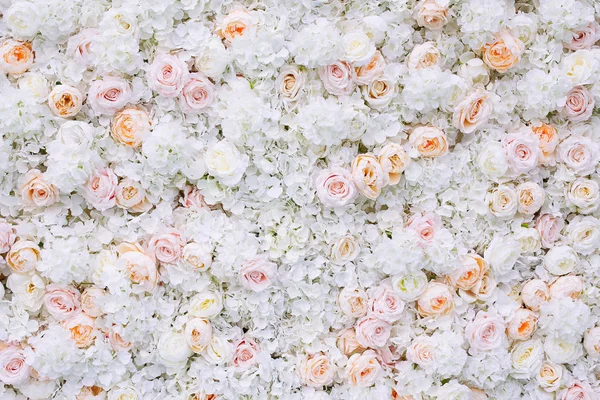 Fondo de pared de flores con rosas blancas y naranja claro . — Foto de Stock