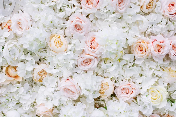 Fondo de pared de flores con rosas blancas y naranja claro . —  Fotos de Stock